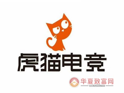 虎猫电竞加盟
